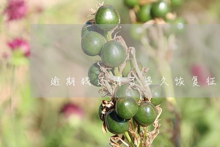 逾期钱还清了多久恢复征信 逾期钱还清了多久恢复征信