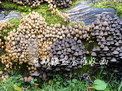 逾期银监会催收函 逾期银监会催收函