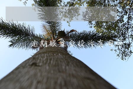 逾期银监会投诉有用吗 逾期银监会投诉有用吗