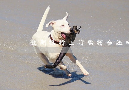 逾期银行上门收钱合法吗 逾期银行上门收钱合法吗