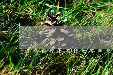 逾期银行上门让我签字怎么回事 逾期银行上门让我签字怎么回事