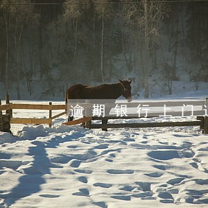 逾期银行上门追收邮政