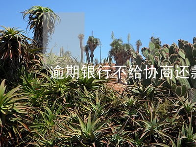 逾期银行不给协商还款怎么办 逾期银行不给协商还款怎么办