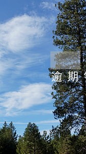 逾期银行会告知吗 逾期银行会告知吗