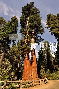逾期银行会打亲友电话吗 逾期银行会打亲友电话吗
