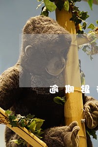 逾期银行会打电话通知吗 逾期银行会打电话通知吗