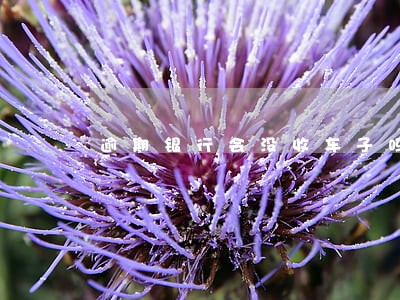 逾期银行会没收车子吗
