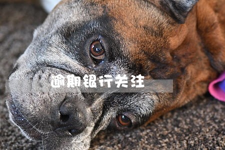 逾期银行关注 逾期银行关注