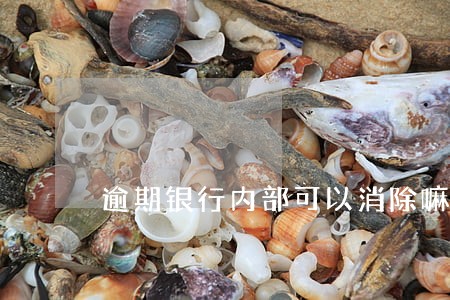 逾期银行内部可以消除嘛 逾期银行内部可以消除嘛