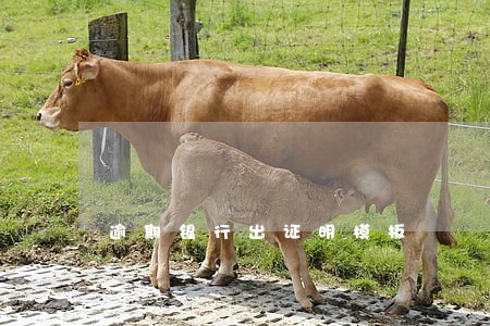 逾期银行出证明模板 逾期银行出证明模板