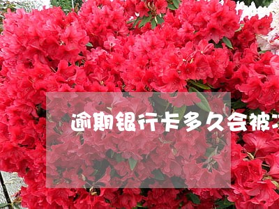 逾期银行卡多久会被冻结 逾期银行卡多久会被冻结