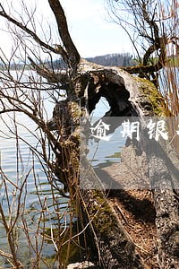 逾期银行卡无缘无故被锁定 逾期银行卡无缘无故被锁定