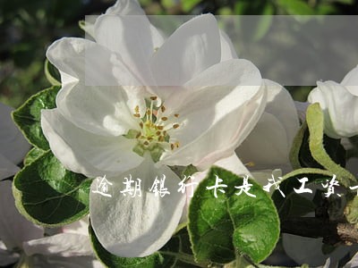 逾期银行卡是我工资卡
