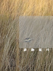 逾期银行卡被冻结半年