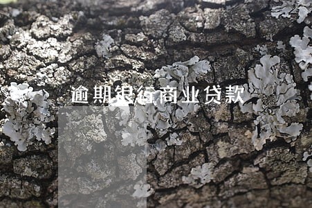 逾期银行商业贷款 逾期银行商业贷款