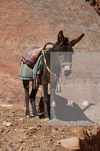 逾期银行多久上门 逾期银行多久上门