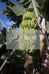 逾期银行多久会上报 逾期银行多久会上报