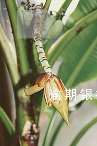 逾期银行好贷款吗 逾期银行好贷款吗