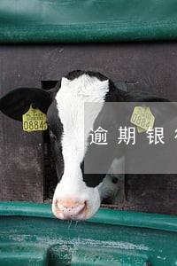 逾期银行客服催款