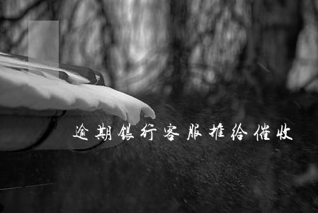 逾期银行客服推给催收 逾期银行客服推给催收