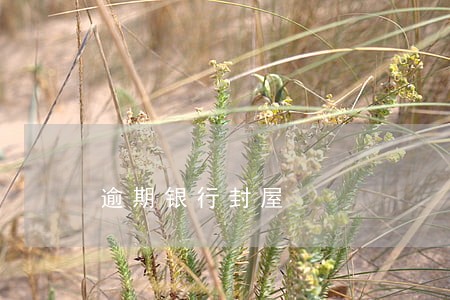 逾期银行封屋 逾期银行封屋