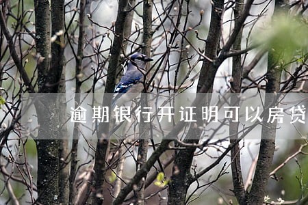 逾期银行开证明可以房贷吗 逾期银行开证明可以房贷吗