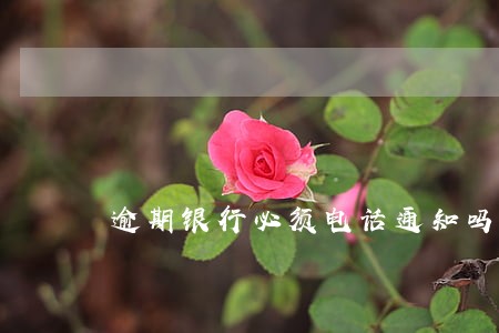 逾期银行必须电话通知吗 逾期银行必须电话通知吗