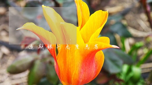 逾期银行态度恶劣 逾期银行态度恶劣