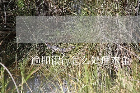 逾期银行怎么处理本金 逾期银行怎么处理本金