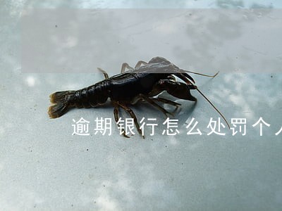 逾期银行怎么处罚个人账户 逾期银行怎么处罚个人账户
