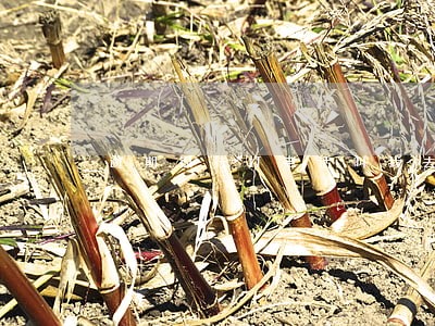 逾期银行打电话叫我去协商逾期 逾期银行打电话叫我去协商逾期
