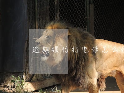 逾期银行打电话怎么说 逾期银行打电话怎么说