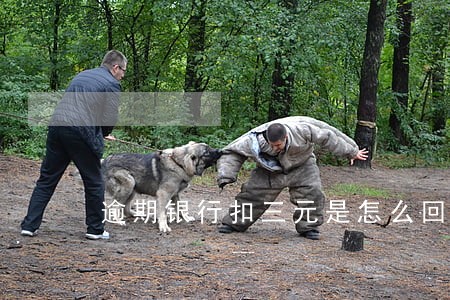 逾期银行扣三元是怎么回事 逾期银行扣三元是怎么回事