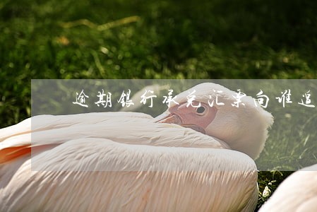 逾期银行承兑汇票向谁追索