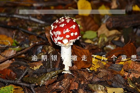 逾期银行撤走了几个意思 逾期银行撤走了几个意思