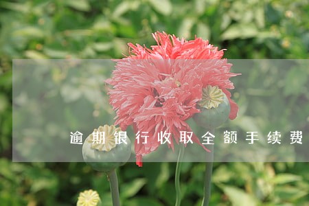 逾期银行收取全额手续费 逾期银行收取全额手续费