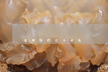 逾期银行无力偿还 逾期银行无力偿还