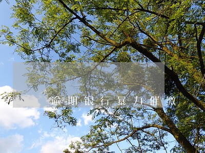 逾期银行暴力催缴 逾期银行暴力催缴