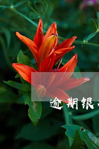 逾期银行有提醒责任 逾期银行有提醒责任