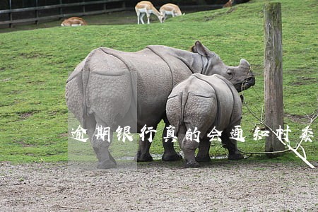 逾期银行真的会通知村委会吗 逾期银行真的会通知村委会吗