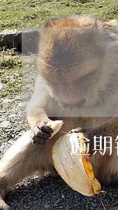 逾期银行移交公安 逾期银行移交公安