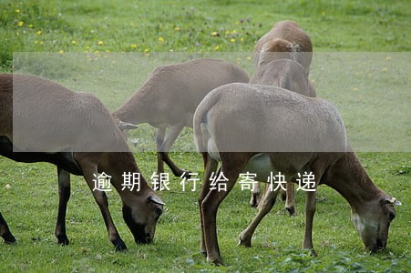 逾期银行给寄快递 逾期银行给寄快递