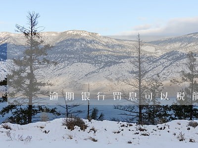 逾期银行罚息可以税前扣除吗 逾期银行罚息可以税前扣除吗
