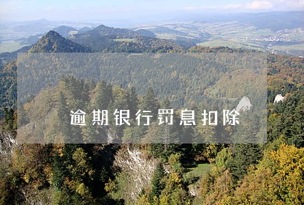 逾期银行罚息扣除 逾期银行罚息扣除