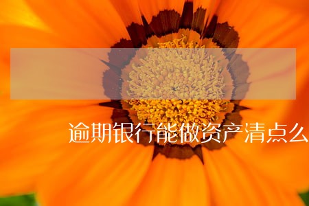 逾期银行能做资产清点么 逾期银行能做资产清点么