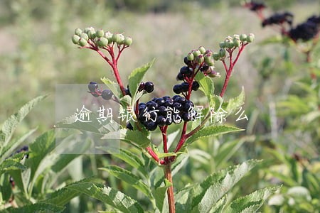 逾期银行能解除么 逾期银行能解除么
