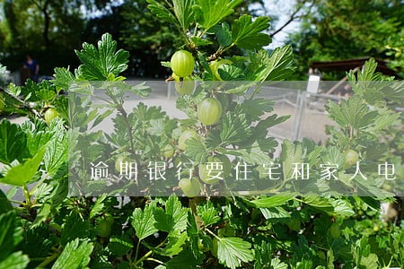 逾期银行要住宅和家人电话 逾期银行要住宅和家人电话