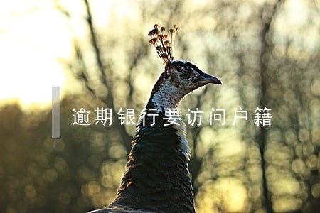 逾期银行要访问户籍 逾期银行要访问户籍