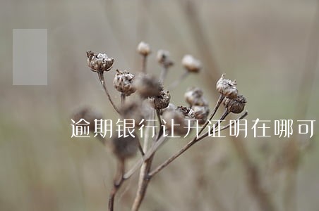 逾期银行让开证明在哪可以开到 逾期银行让开证明在哪可以开到