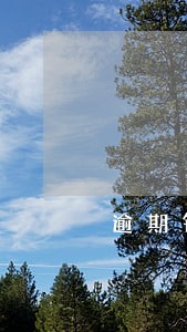 逾期银行贷款利息如何计算 逾期银行贷款利息如何计算